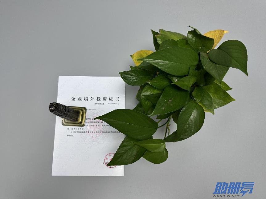 海外公司后期維護(hù)知識(shí)介紹！